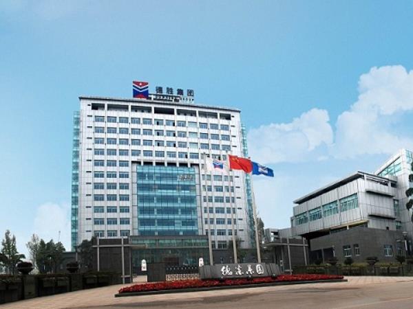 四川德胜集团钢铁有限公司